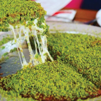 KUNEFE LG